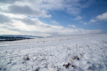 Nature under the snow during winter. Slovakia
