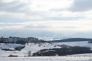 Nature under the snow during winter. Slovakia