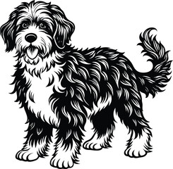 Bernedoodle Dog  different poses silhouette vector design