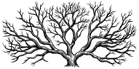 Tree branches collection, dry tree branches on white background © Sombath