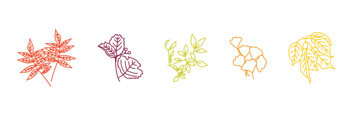 Hand Drawn Autumn Leaf Outline: Lined Sketch for Seasonal Design