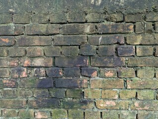 Old Brick Texture Wall Background
