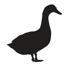 Black silhouette of a goose. Vector illustration isolated on white background