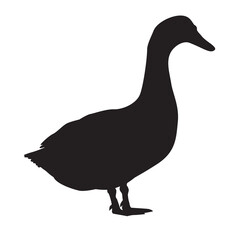 Black silhouette of a goose. Illustration on transparent background