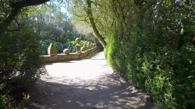 Magical tree-lined path that leads to a pond with flowers, Pazo de Oca, Galicia.