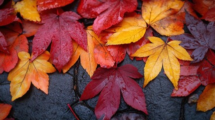 Fototapeta premium Close-up of vibrant autumn leaves in shades of red, yellow, and orange on a wet surface