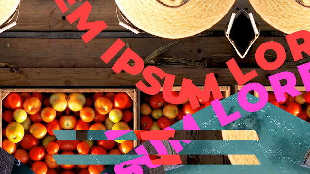 Glitch Modern Horizontal Vertical Slideshow 342