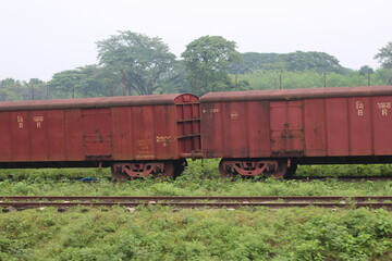 Fototapeta premium Field landscape grass