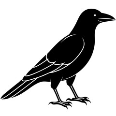 silhouette of a crow