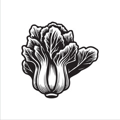 Chinese Cabage silhouette vector illustration 
