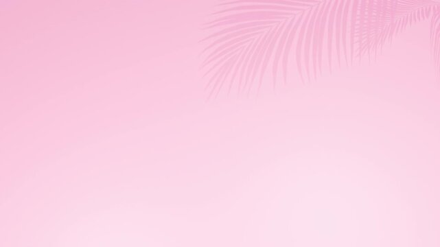 tropical tree shaow on pink background, mock up  pink pastel color, 3d illustration rendering 