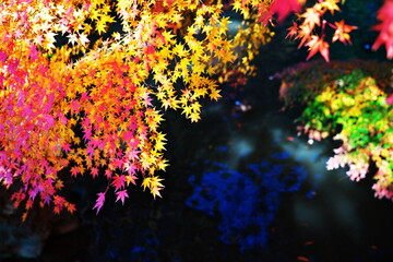 暑い夏が終わる気配を感じる