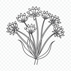 Floral Bunch with Ornamental Onion Botanical Line Art Vector Illustration Design