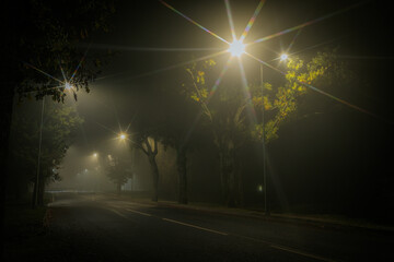 A foggy night scene of an empty street lined with trees, illuminated by bright streetlights. The hazy atmosphere and light rays create a moody, mysterious ambiance.