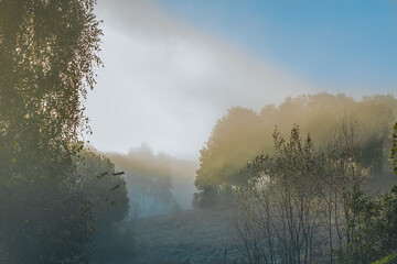 A misty morning scene featuring soft fog rolling over a forested hillside. The layers of trees are partially obscured by the mist, creating a tranquil and mysterious atmosphere.