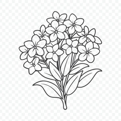 Elegant Floral Bunch with Creeping Phlox Line Art Vector Design Illustration for Botanical Projects