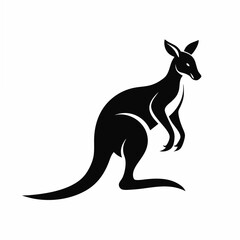 Kangaroo