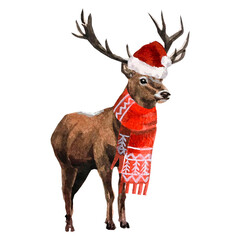 Hand drawn watercolor illustration of Christmas Deer isolated on white background. Reindeer painting. Design cards