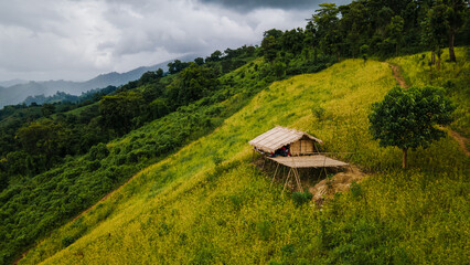 Sky above, roots below, peace within.