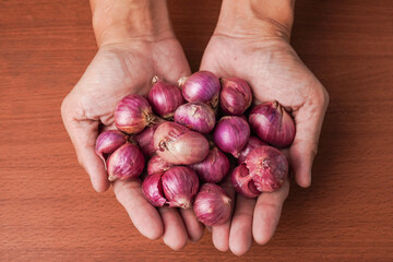 A man wearing brown apron is holding a bunch of shallots in hand palms. Isolated on white background