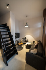 Small and modern apartment with a mezzanine bedroom. Modern studio apartment with a mezzanine bedroom. Stylish kitchen seamlessly connected to a cozy living room, perfect small space living.