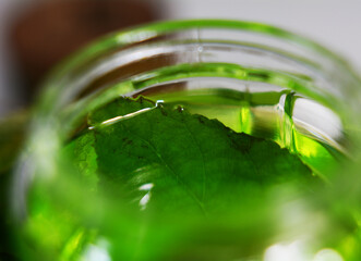 eucalyptus oil from distillation without additional chemicals, the green color is very thick, a natural herbal medicine to treat flu, asthma, inflammation and also as a pain reliever