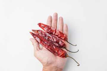 Someone is holding a bunch of dried large red chilies in hand palms for making chili powder or...