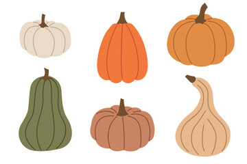 set of different colorful autumn pumpkins- vector illustration