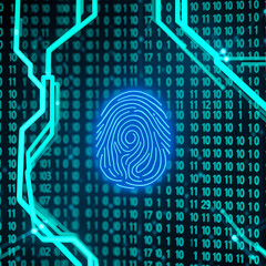 Fingerprint Biometrics on Digital Circuit Board with Binary Code