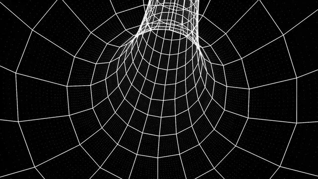 An Abstract Zoom Warp Tunnel 4k Whit and Black line Circle.