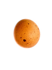 Сhicken egg on a white background.