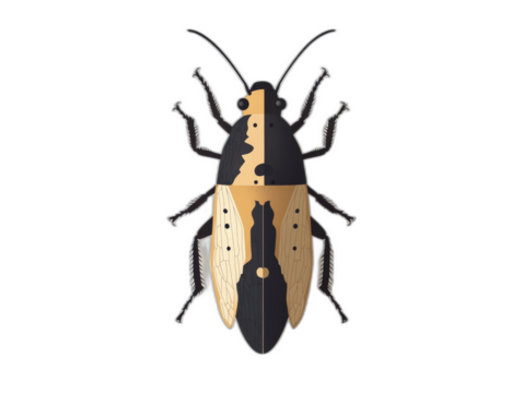 Black and Tan Beetle: A minimalist illustration of a black and tan beetle with intricate detail. This vector graphic features a striking color contrast and a simple yet elegant design.