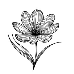 saffron illustration of a flower