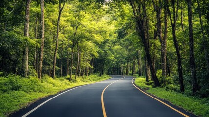Obraz premium A scenic road through a green forest, representing the push for sustainable travel and its role in preserving natural landscapes.