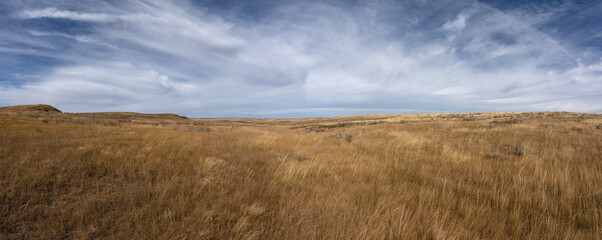 Wide panoramic of autumn grassland with small hills under a dramatic sky
