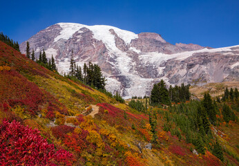 One of many hiking trails surrounded by stunning fall foliage at Mt. Rainier National Park in Washington state
