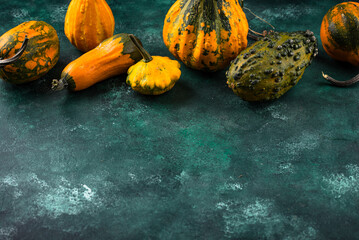 Various decorative pumpkin on green background