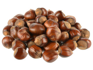 板栗栗子坚果食物食材营养健康元素