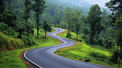Fototapeta premium A winding road stretches through a thriving forest landscape, symbolizing the importance of sustainable travel for conservation.