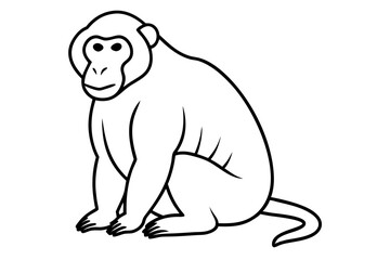 Vector Illustration of a Sitting Baboon Relaxing with Hands Resting on Its Knees
