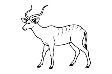 A Kudu Moving Elegantly Through the Grasslands with Its Head Held Proudly
