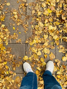 person sitting on the leaves
