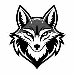 Obraz premium coyote