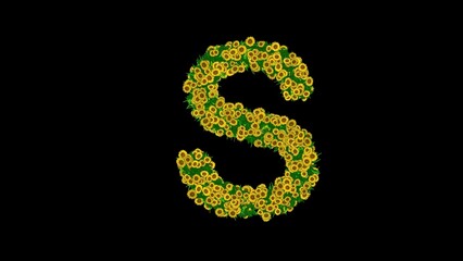 Beautiful illustration of English alphabet S with green leaves and yellow daisy flowers on plain black background
