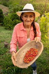 Mujer latina agricultura feliz mostrando su colecta eje cafetero colombia horizontal plano americano