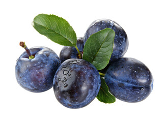 Obraz premium 新鲜饱满紫色李子果肉水果特写素材