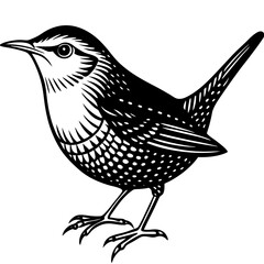 Bird vector bird animal illustration silhouette vector nature crow birds art feather, wildlife black beak drawing cartoon sparrow