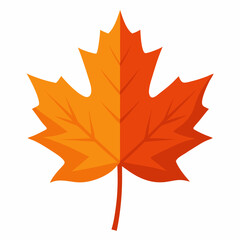 Obraz premium autumn maple leaf vector art