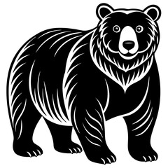 illustration of a bear on white background