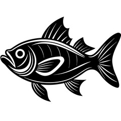 fish illustration
